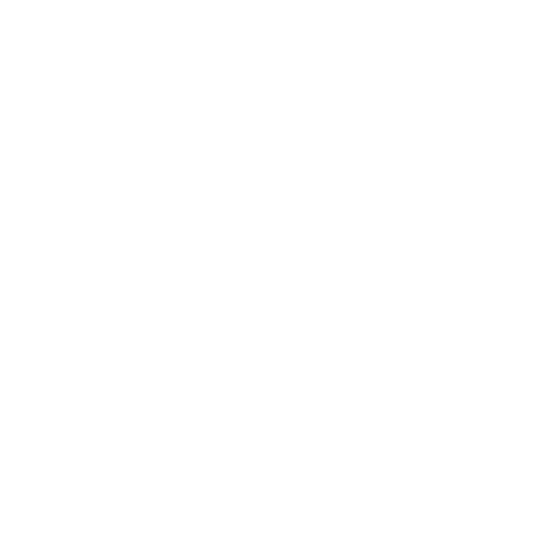 Logo Junior Fernandes